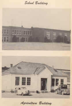 1951 Perrin School.jpg (2622012 bytes)