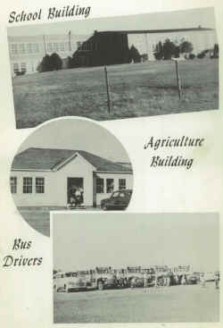 1954 Perrin School.jpg (3184583 bytes)