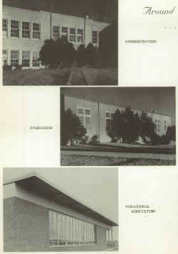 1959 Perrin School.jpg (2705246 bytes)