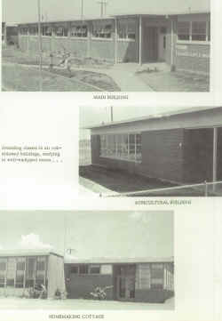 1966 Perrin School.jpg (2779122 bytes)
