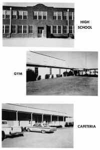 1965 Yearbook-Buildings.jpg (2010975 bytes)