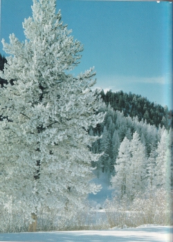 Alvord1976-140.jpg (782516 bytes)